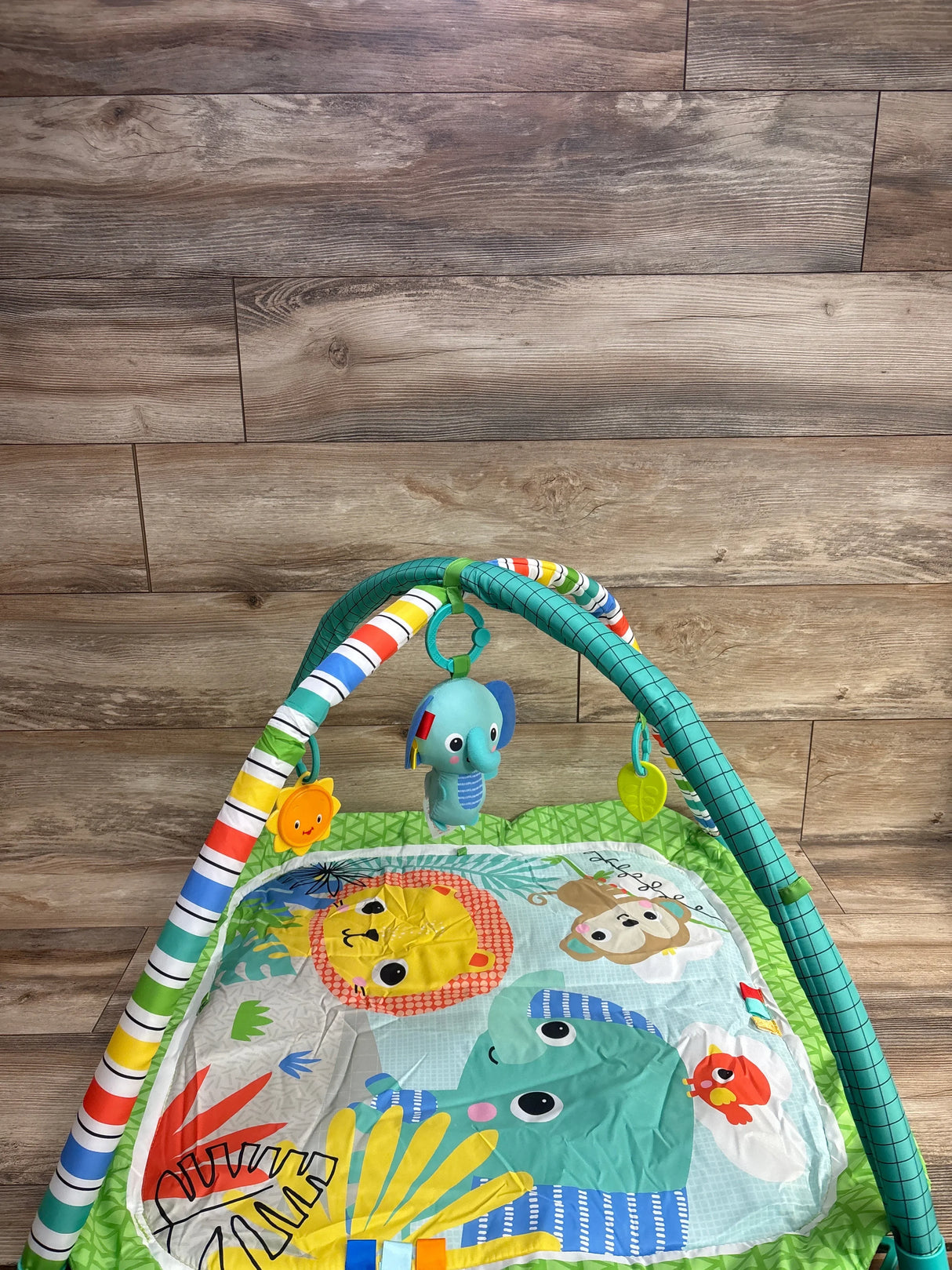 Angled view of Bright Starts Wild Wiggles activity gym and play mat showing striped arches and hanging elephant, lion, and sun toys on wooden floor