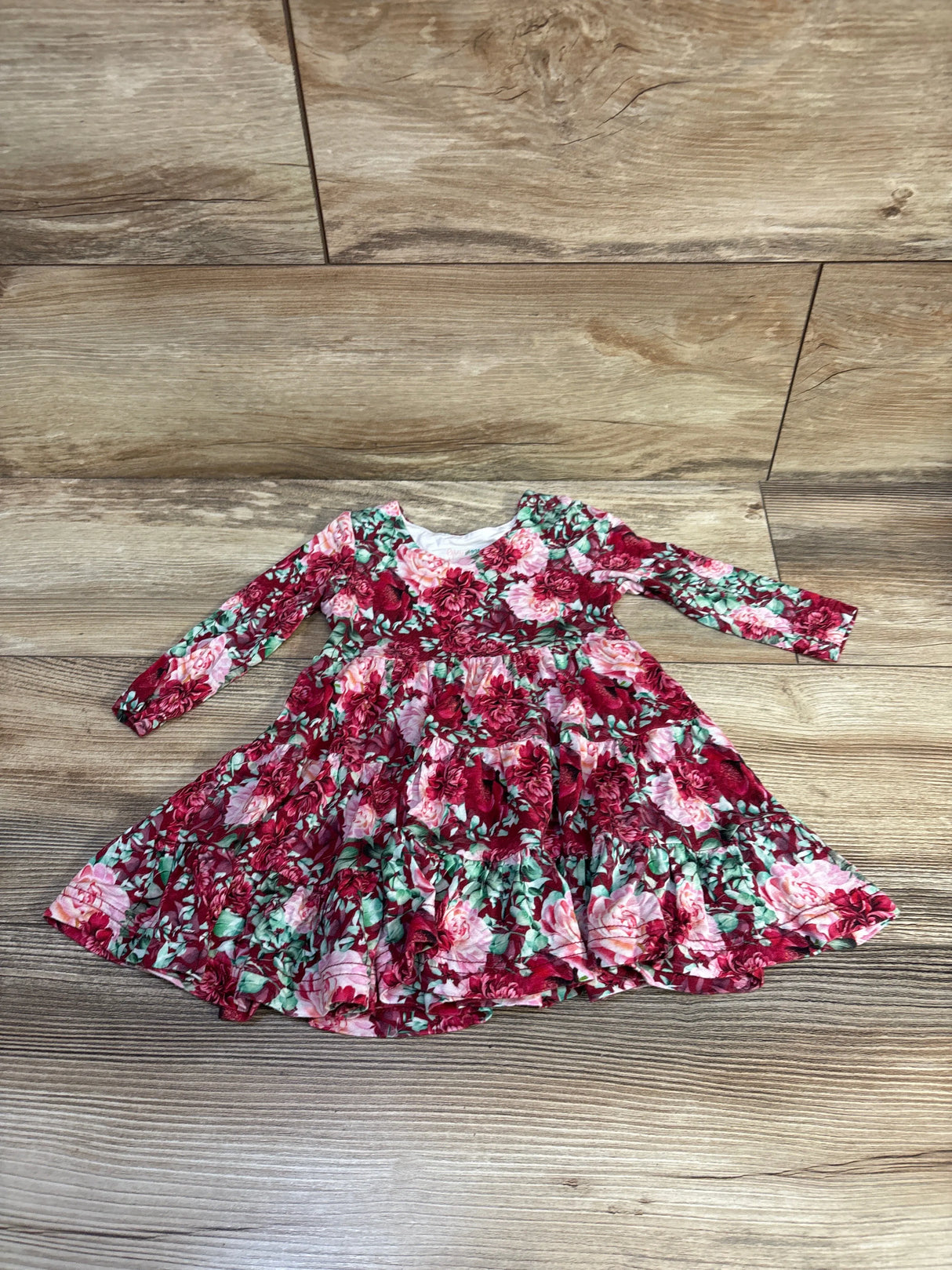 Gigi & Max Bamboo Floral Swing Dress Red sz 6m