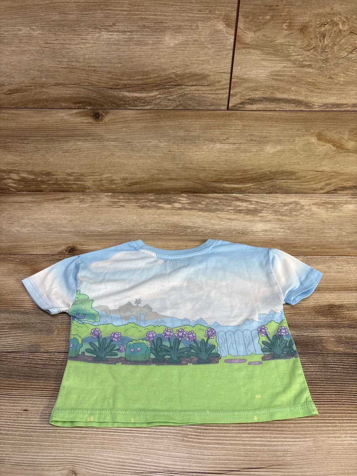 Bluey Shirt Blue sz 2T
