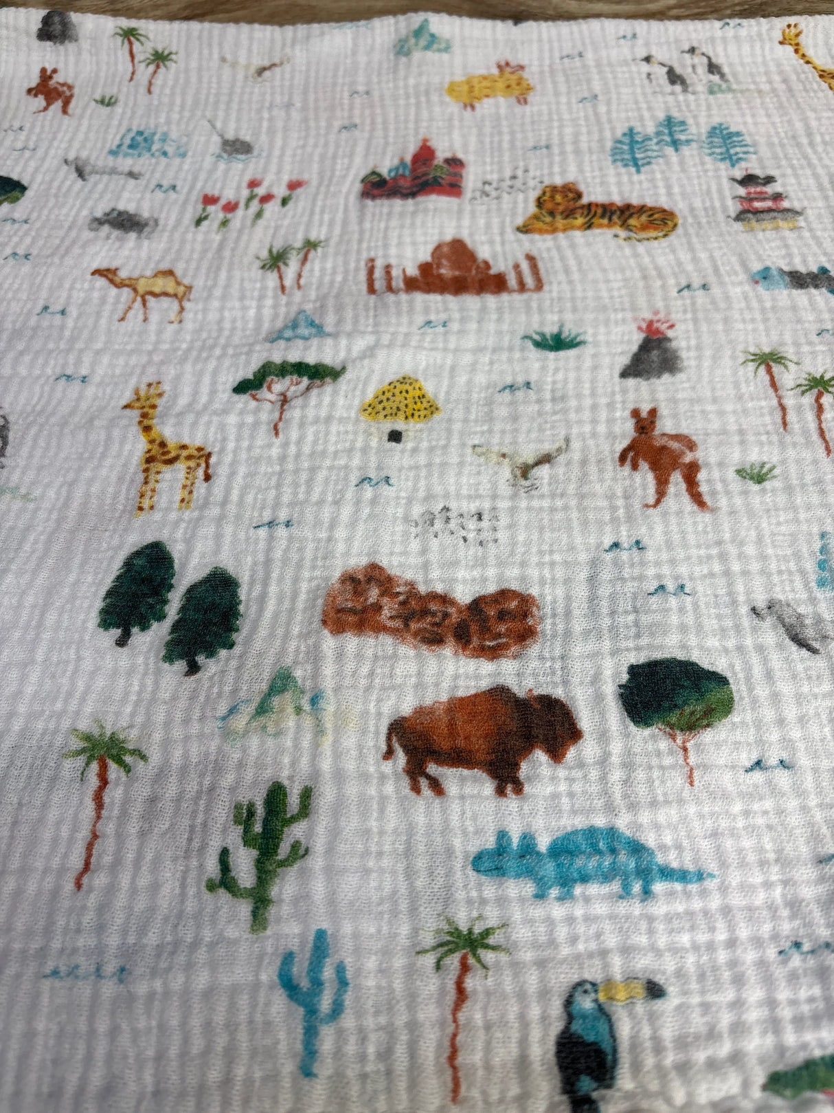 Aden + Anais Muslin Swaddle Blanket, Animal Print