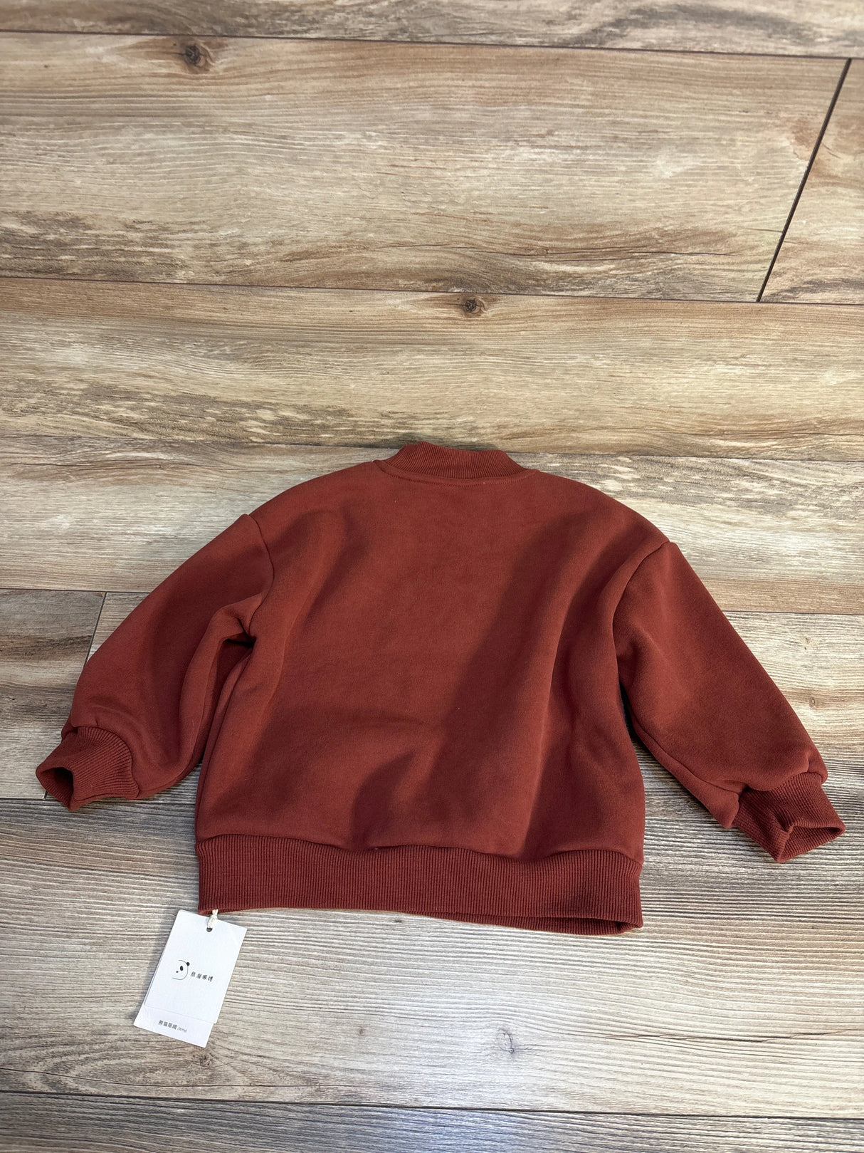 NEW Panda Eyes Fleece Lined Puppy Pullover Sweatshirt Rust sz 3/4T