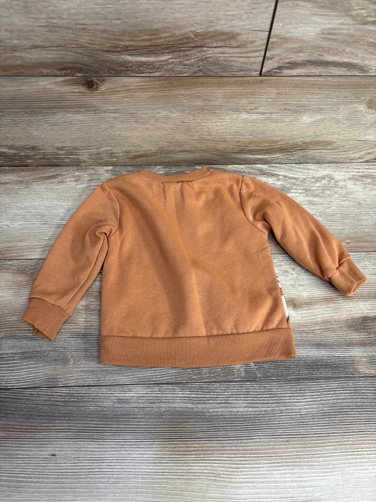 Star Wars Yoda Sweatshirt Caramel sz 12m