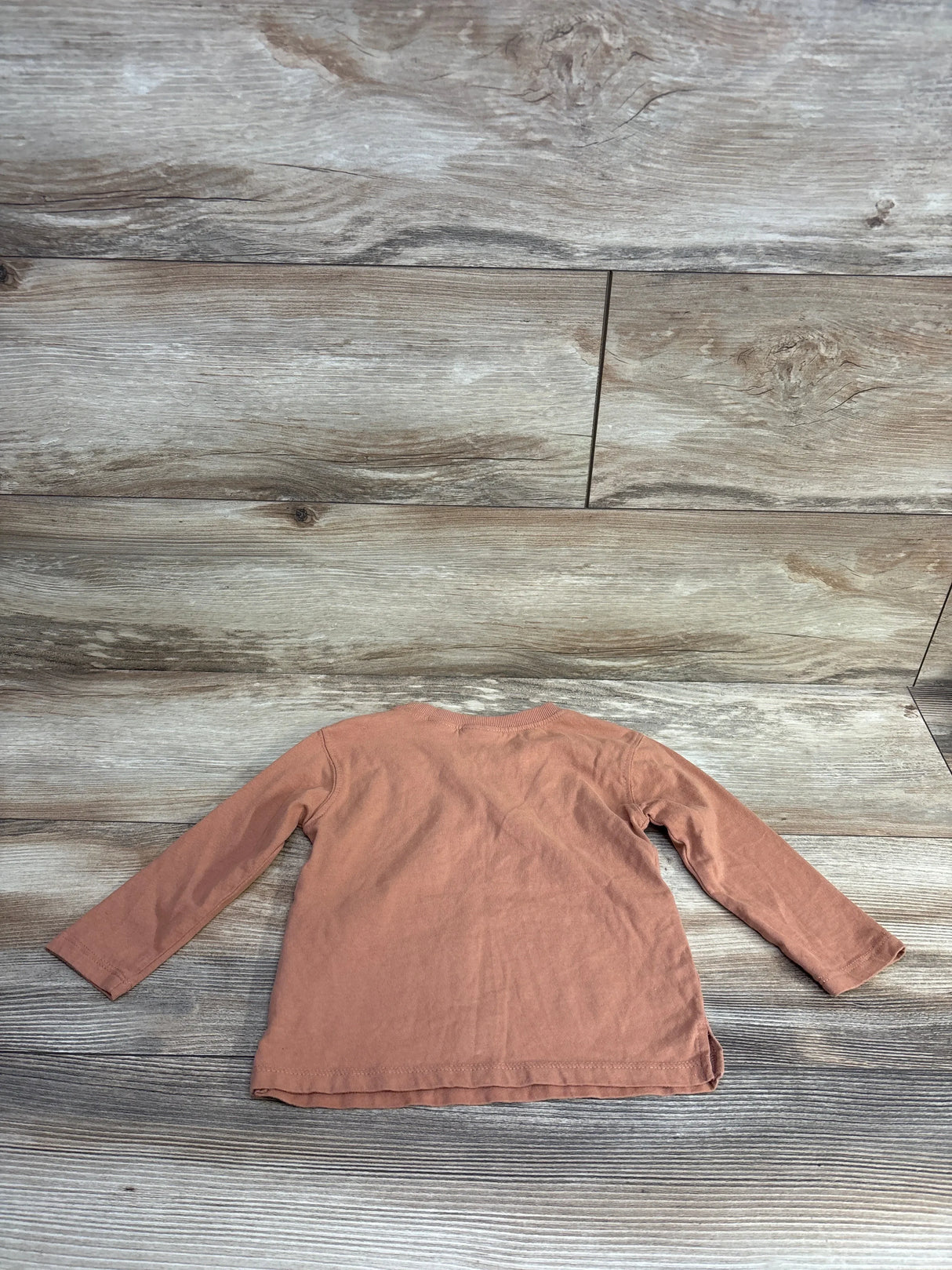 Back view of toddler long-sleeve rust-colored shirt on wooden surface for kids resale