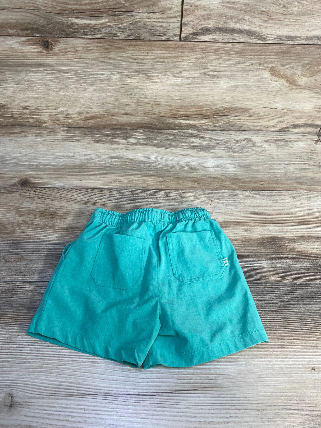 Flapdoodles Board Shorts Teal sz 12m