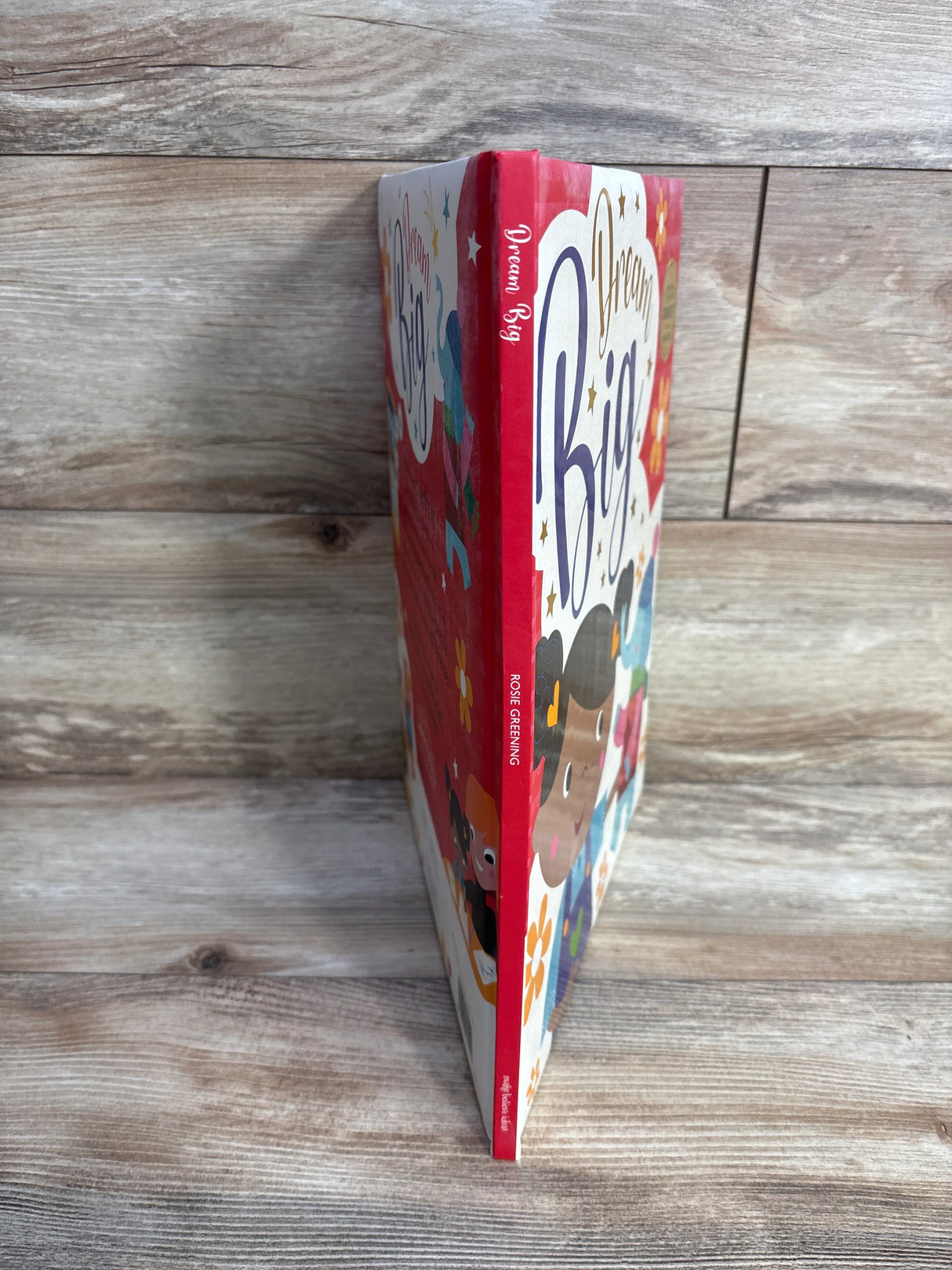 Children's book "Dream Big" by Rosie Greening with colorful cartoon illustrations on wooden surface