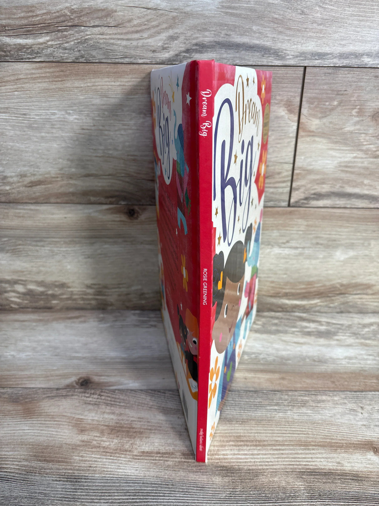 Children's book "Dream Big" by Rosie Greening with colorful cartoon illustrations on wooden surface