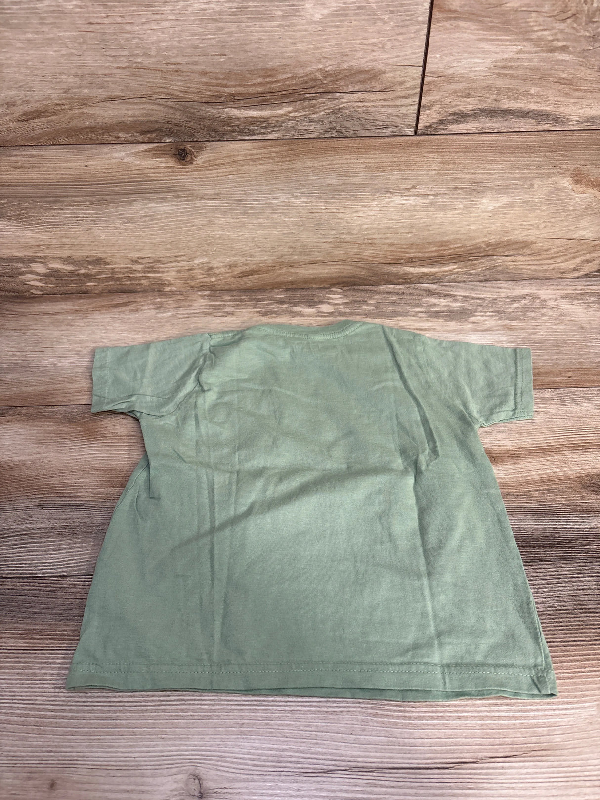 Wild Is Calling Raised Out West Shirt Green sz 4T