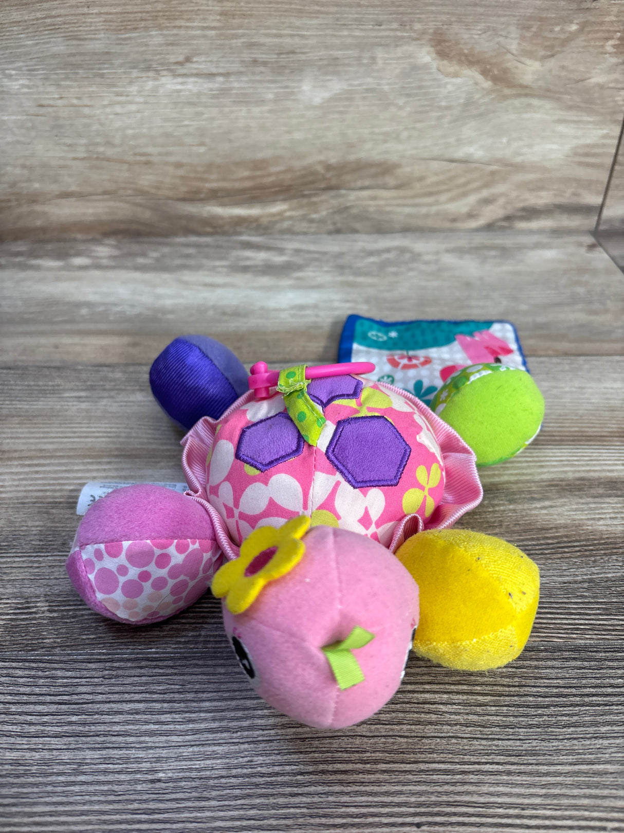 Infantino Topsy Turtle Mirror Pal
