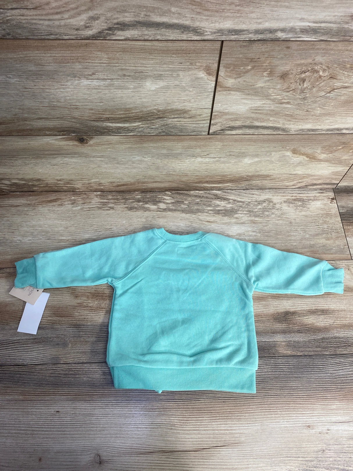 NEW Grayson Mini Always Keep Growing Sweatshirt Mint sz 12m