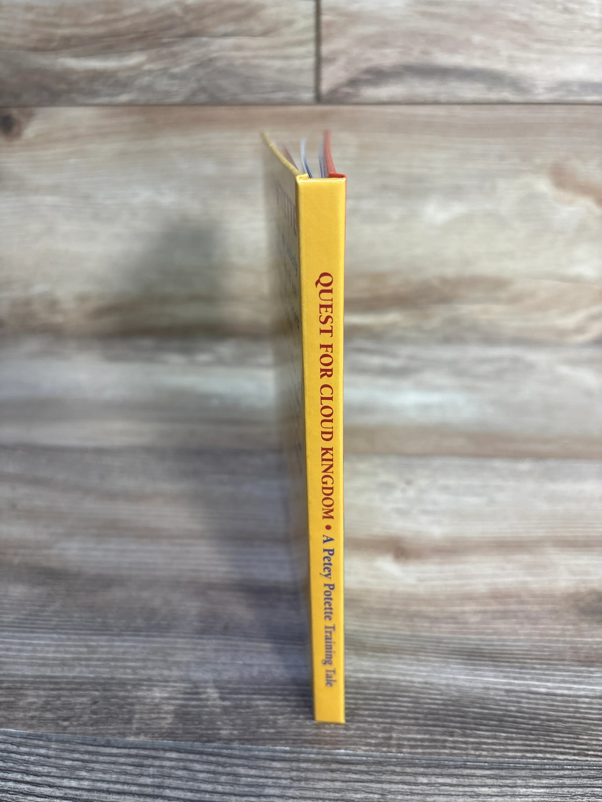 Quest For Cloud Kingdom Hardcover Book