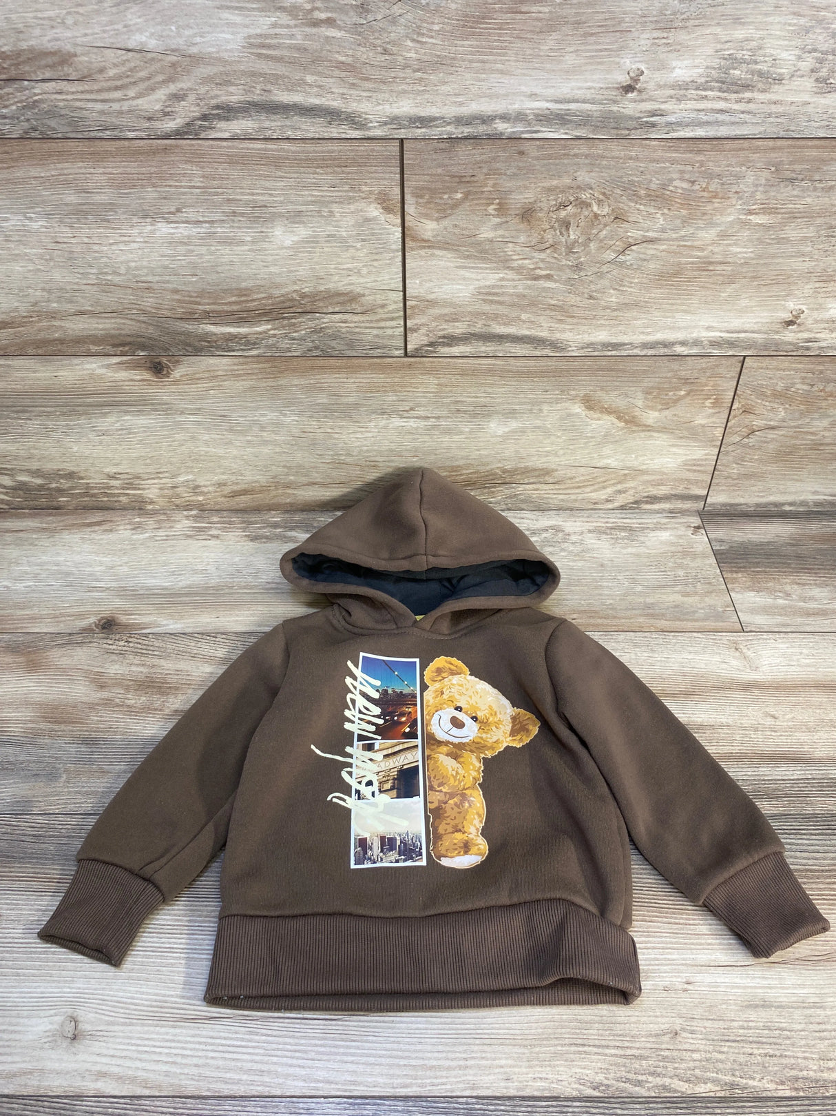 Encrypted Bear Pull Over Hoodie Brown sz 2T