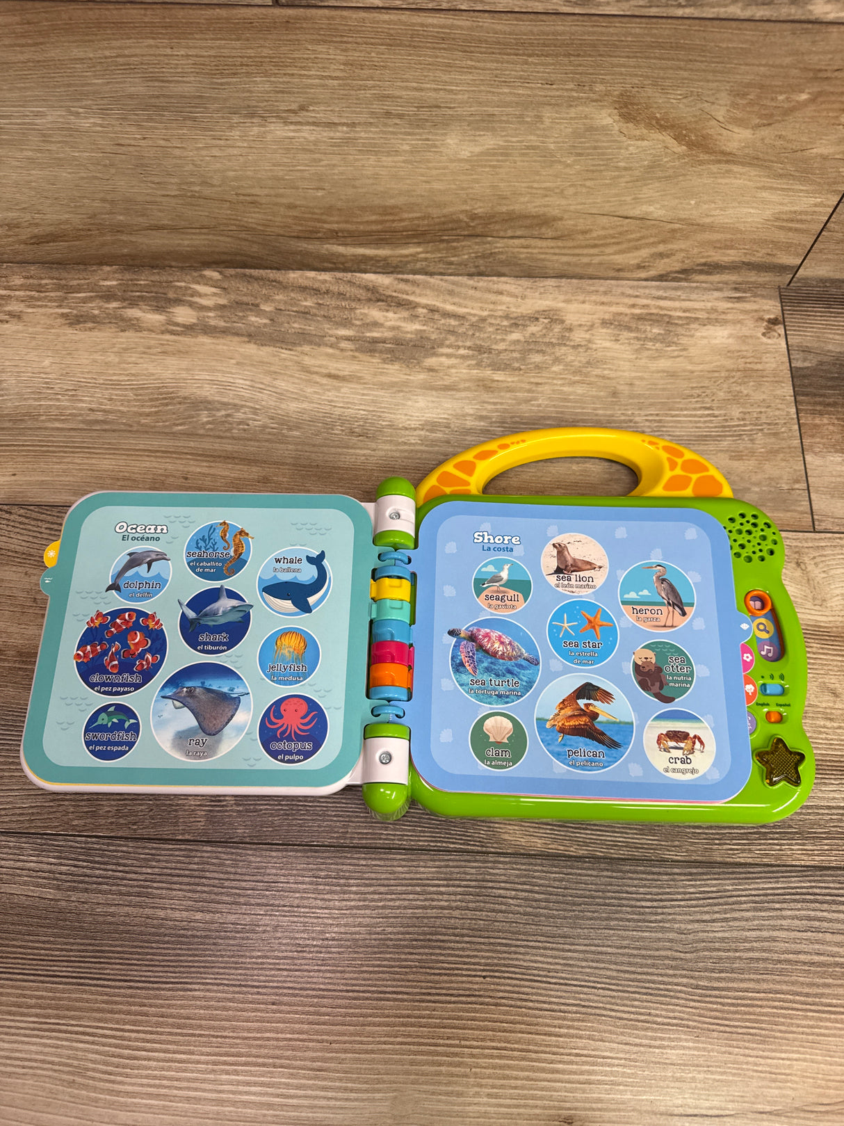 LeapFrog 100 Animals Book, Green