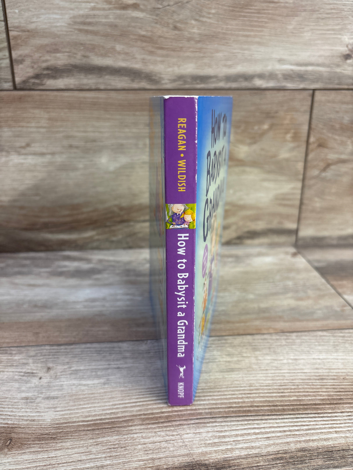 How to Babysit a Grandma Board Book