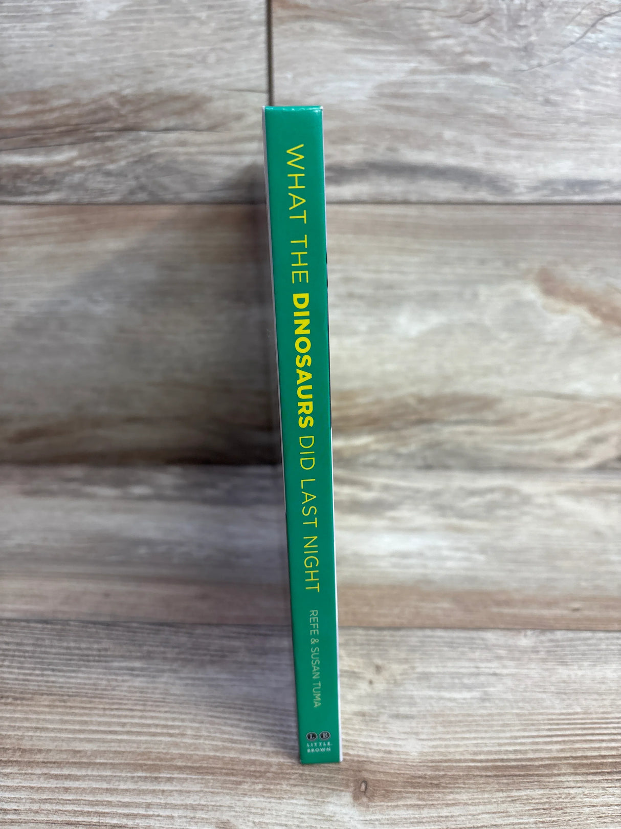 What the Dinosaurs Did Last Night Hardcover Book