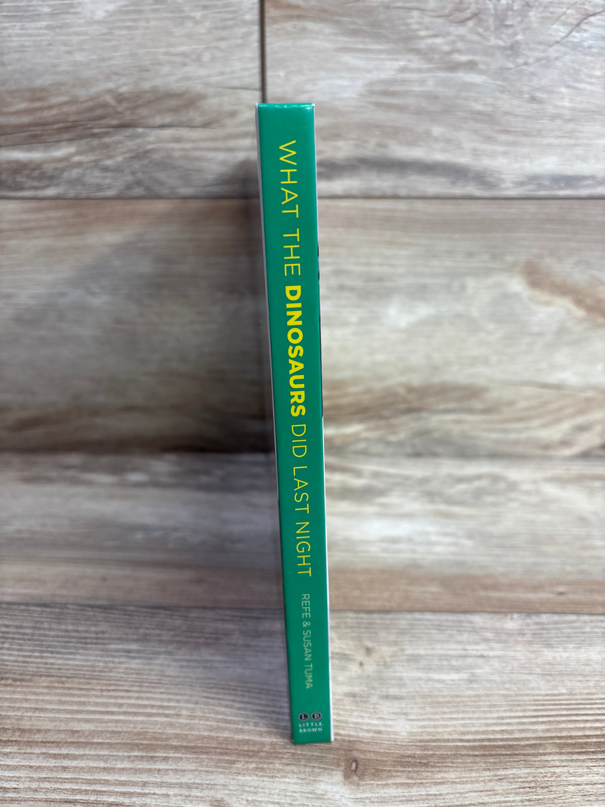 What the Dinosaurs Did Last Night Hardcover Book