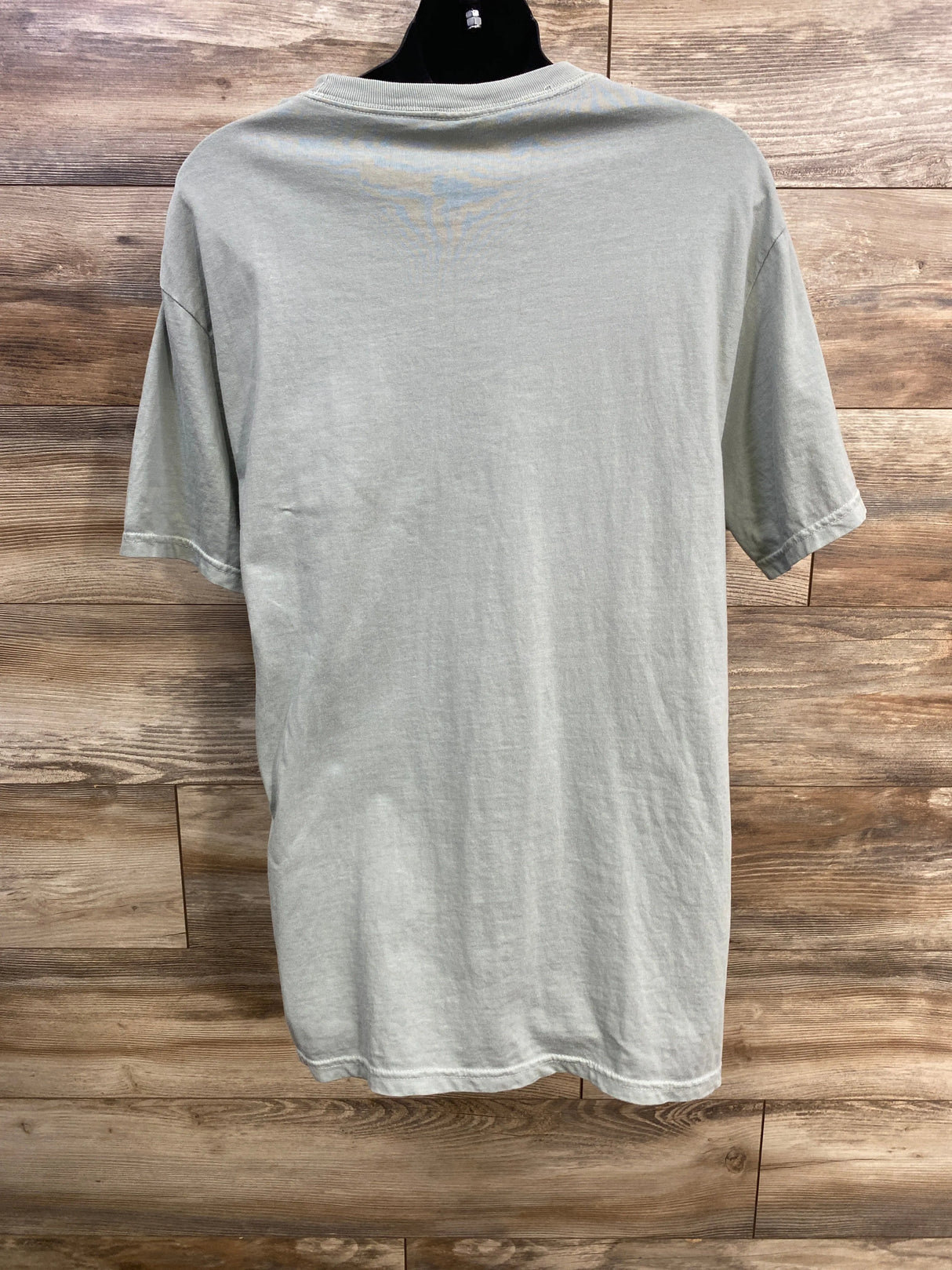 Comfort Colors Pregnant Girl Summer Shirt in Sage sz Large