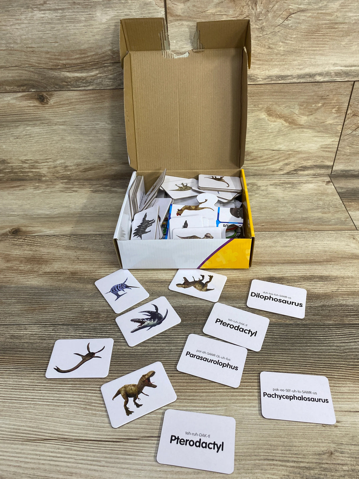 The Learning Journey Match It! Bingo Dinosaurs