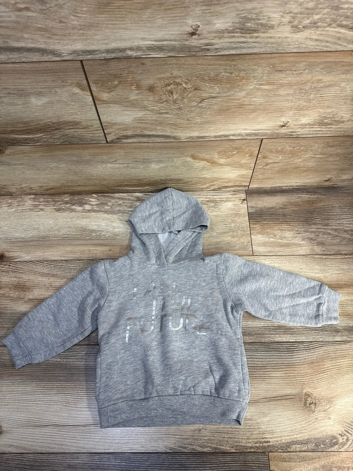 Gray toddler hoodie with 'I am the future' text on wooden floor background.