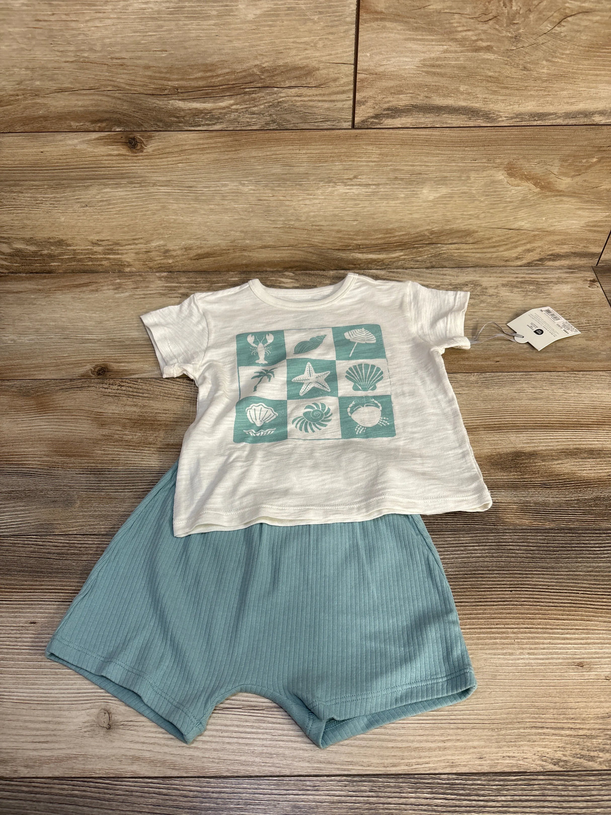 NEW Cloud Island 2pc Shirt & Shorts Set White sz 18m