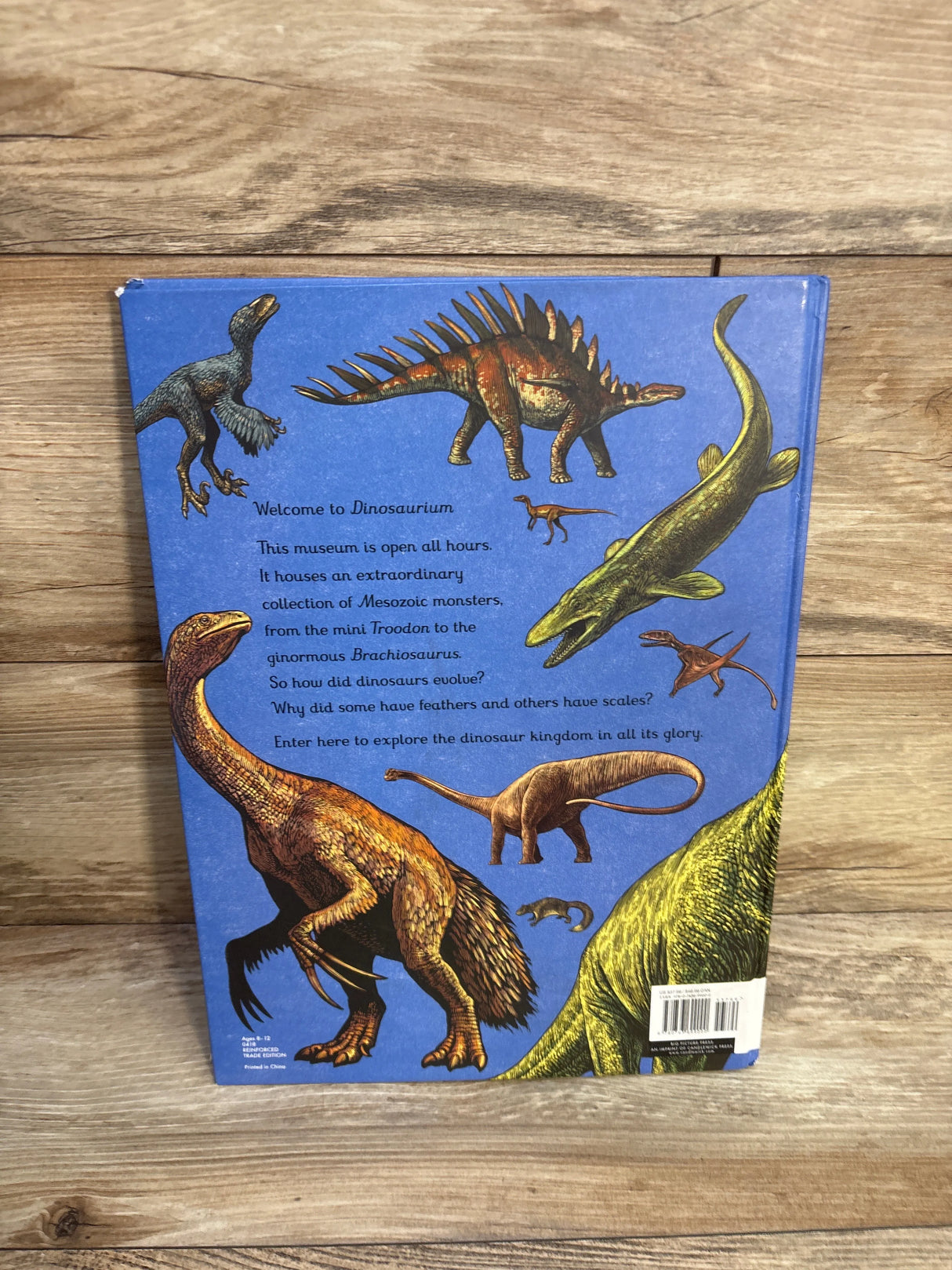 Back cover of Dinosaurium book featuring colorful dinosaur illustrations on a wooden background