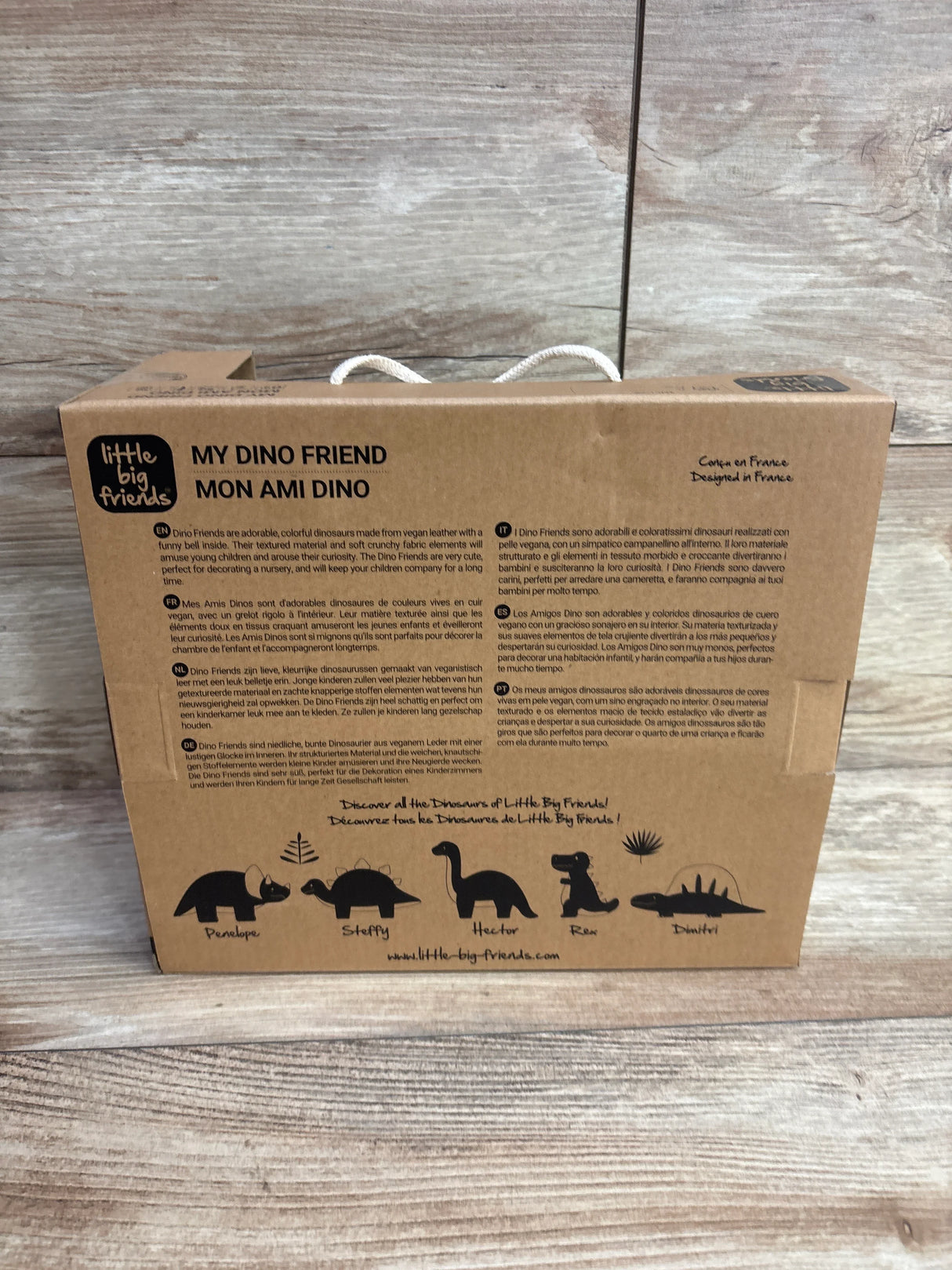 Brown cardboard box packaging of Little Big Friends My Dino Friend vegan leather dinosaur toys with black illustrations