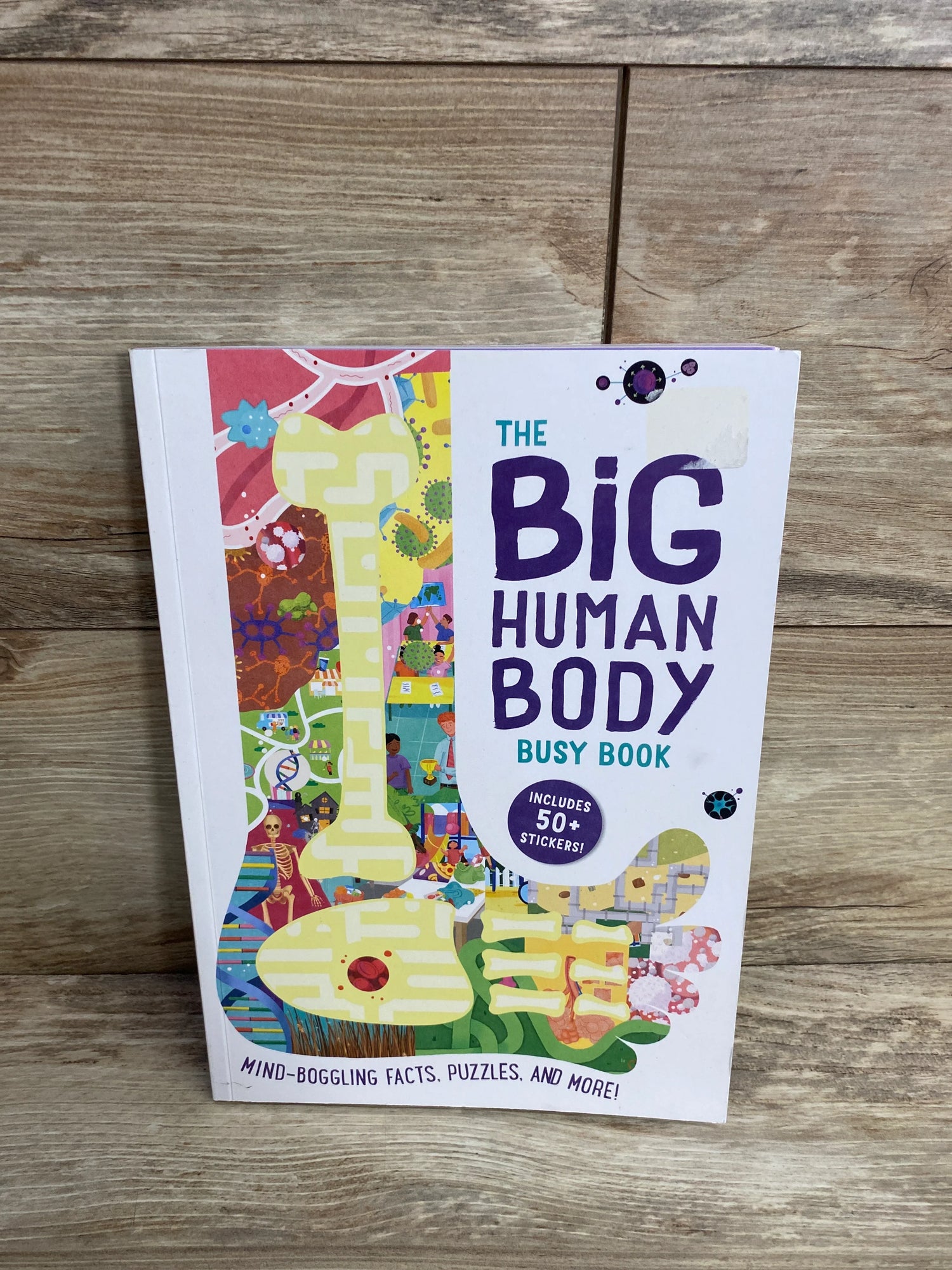 Big Human Body Busy Book Paperback Book