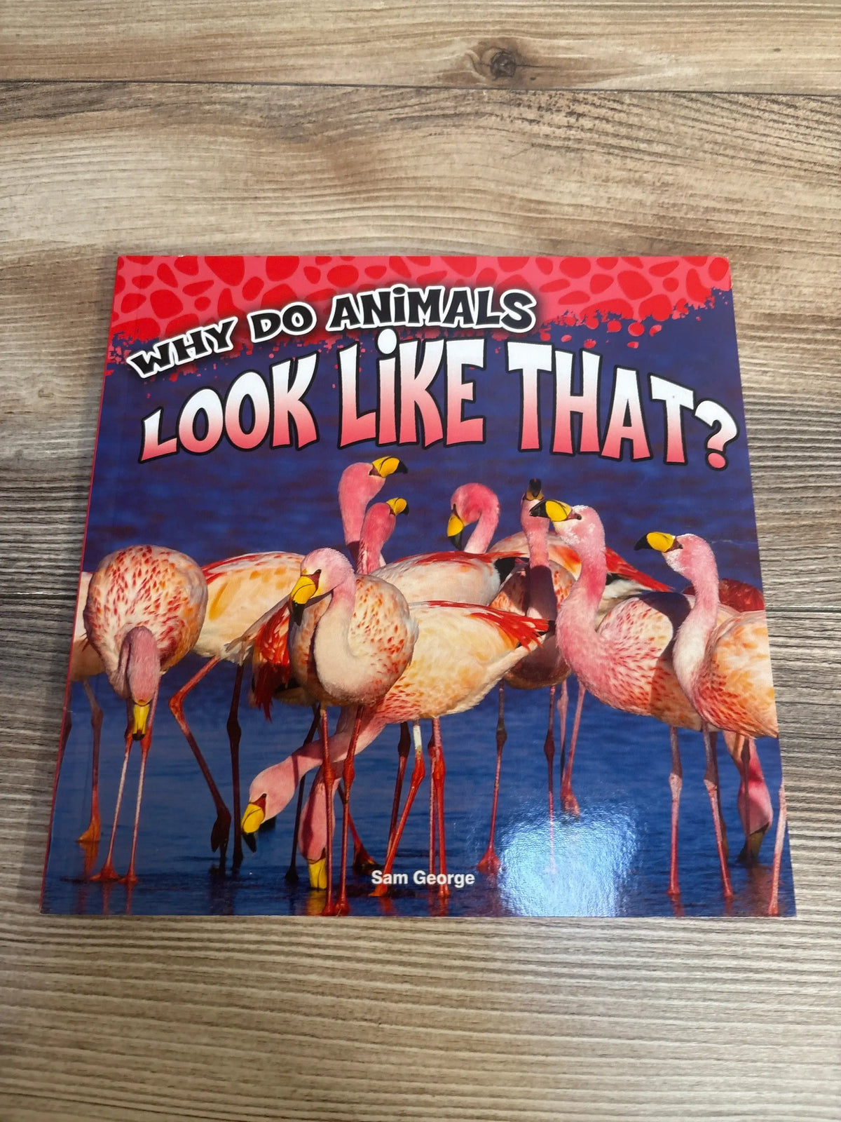 Children's animal book 'Why Do Animals Look Like That?' with flamingos on cover, on wood surface