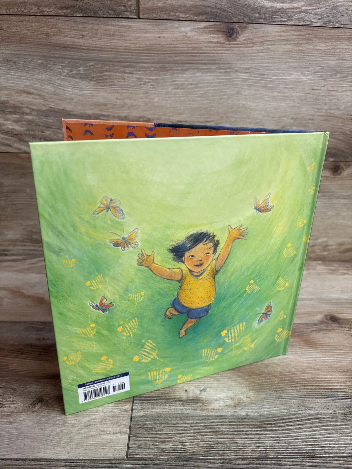 Children’s book back cover with child illustration and butterflies on a wooden floor