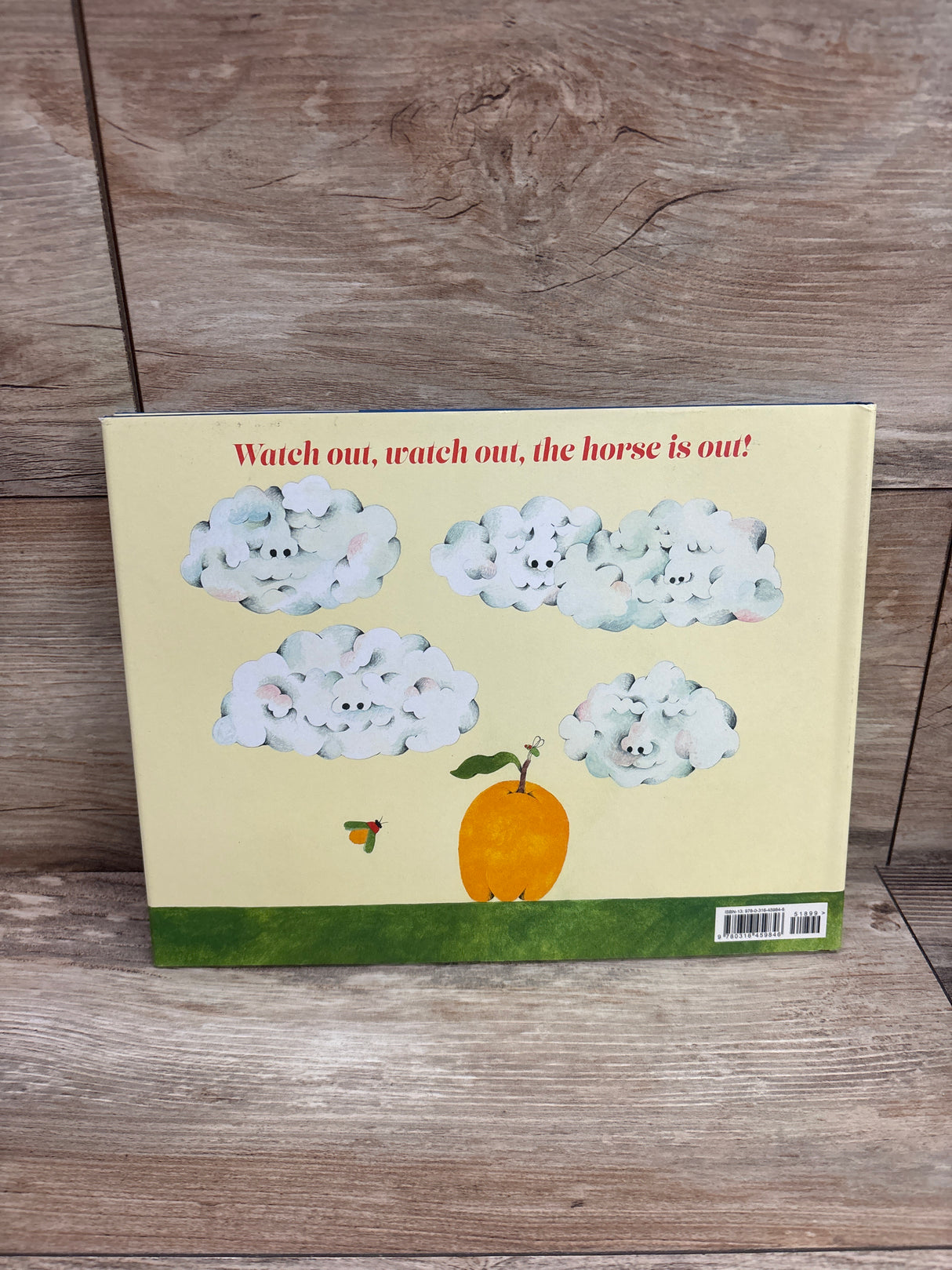On the Day the Horse Got Out Hardcover Book