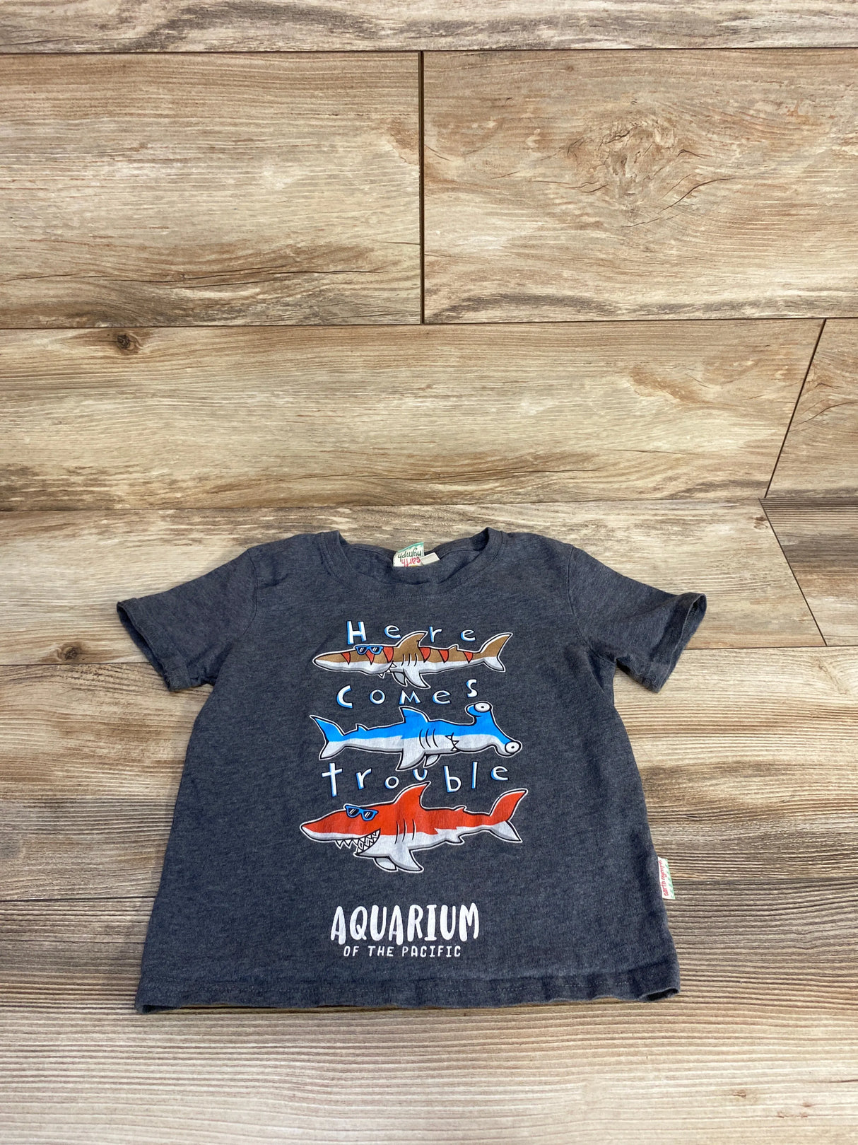Earth Nymph Here Comes Trouble Shark Shirt Grey sz 4T