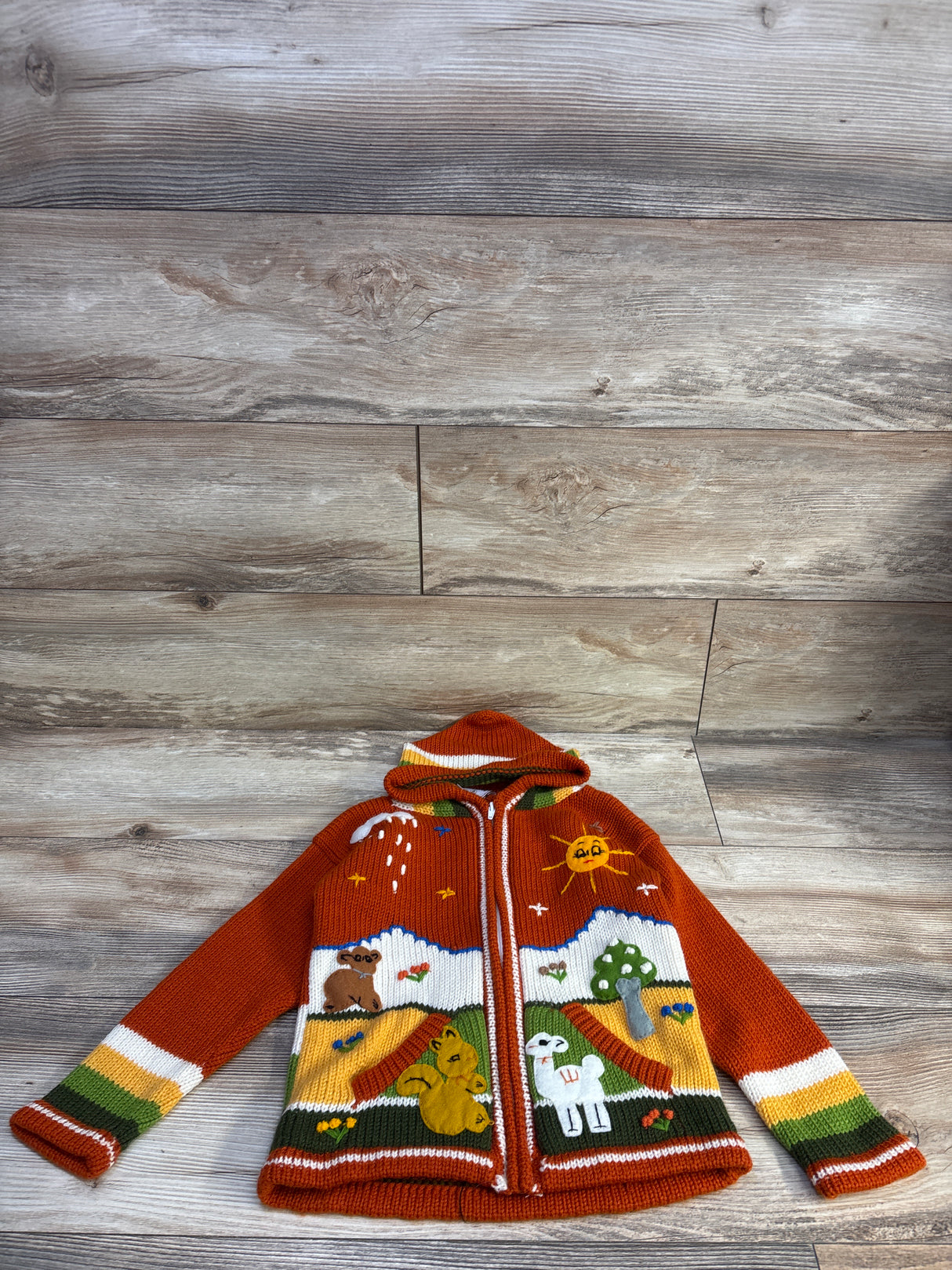 JB Crafts Knit Embroidered Peruvian Hooded Sweater Orange sz 5/6T
