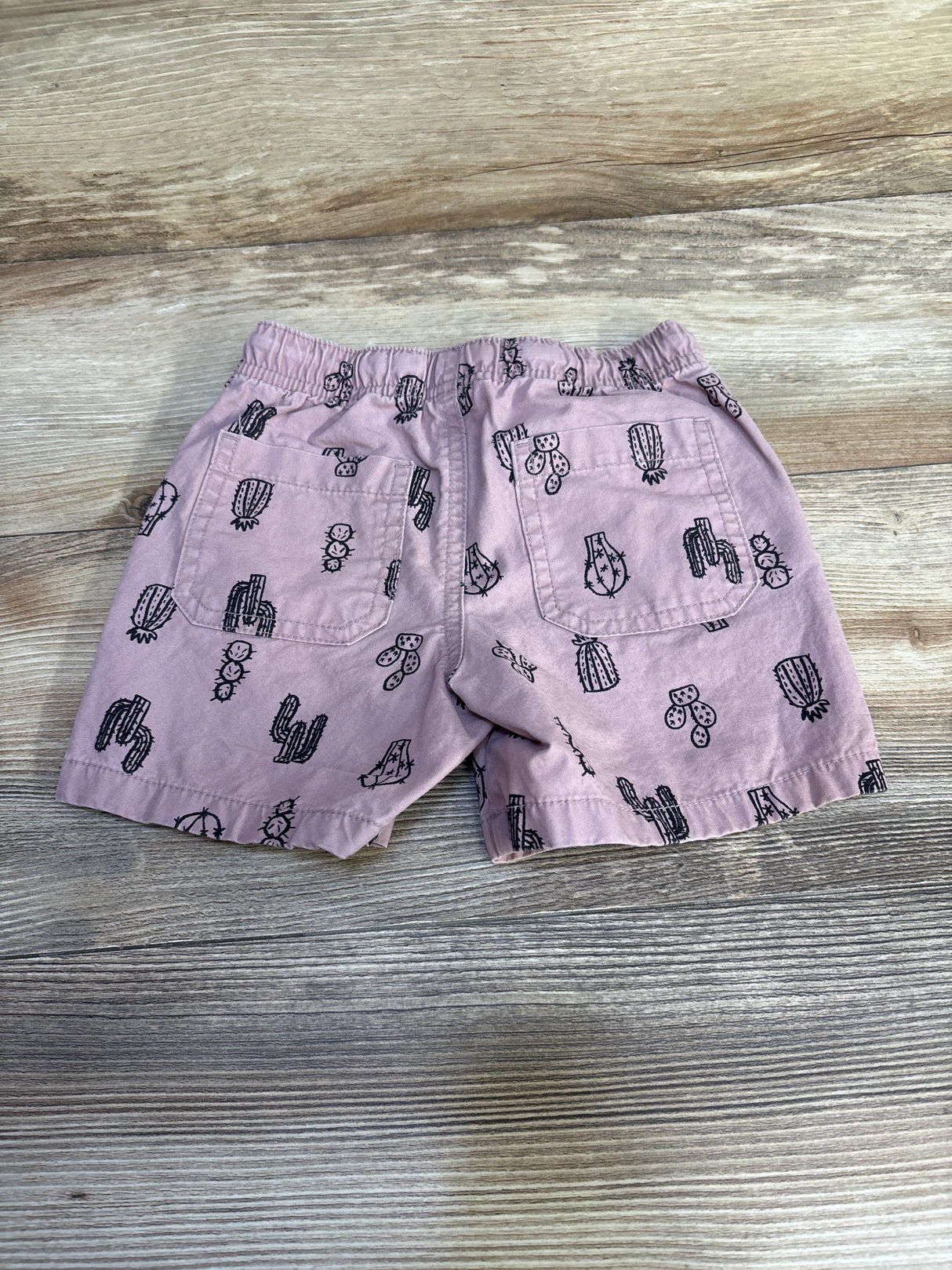 Cat & Jack Cactus Print Shorts sz 2T