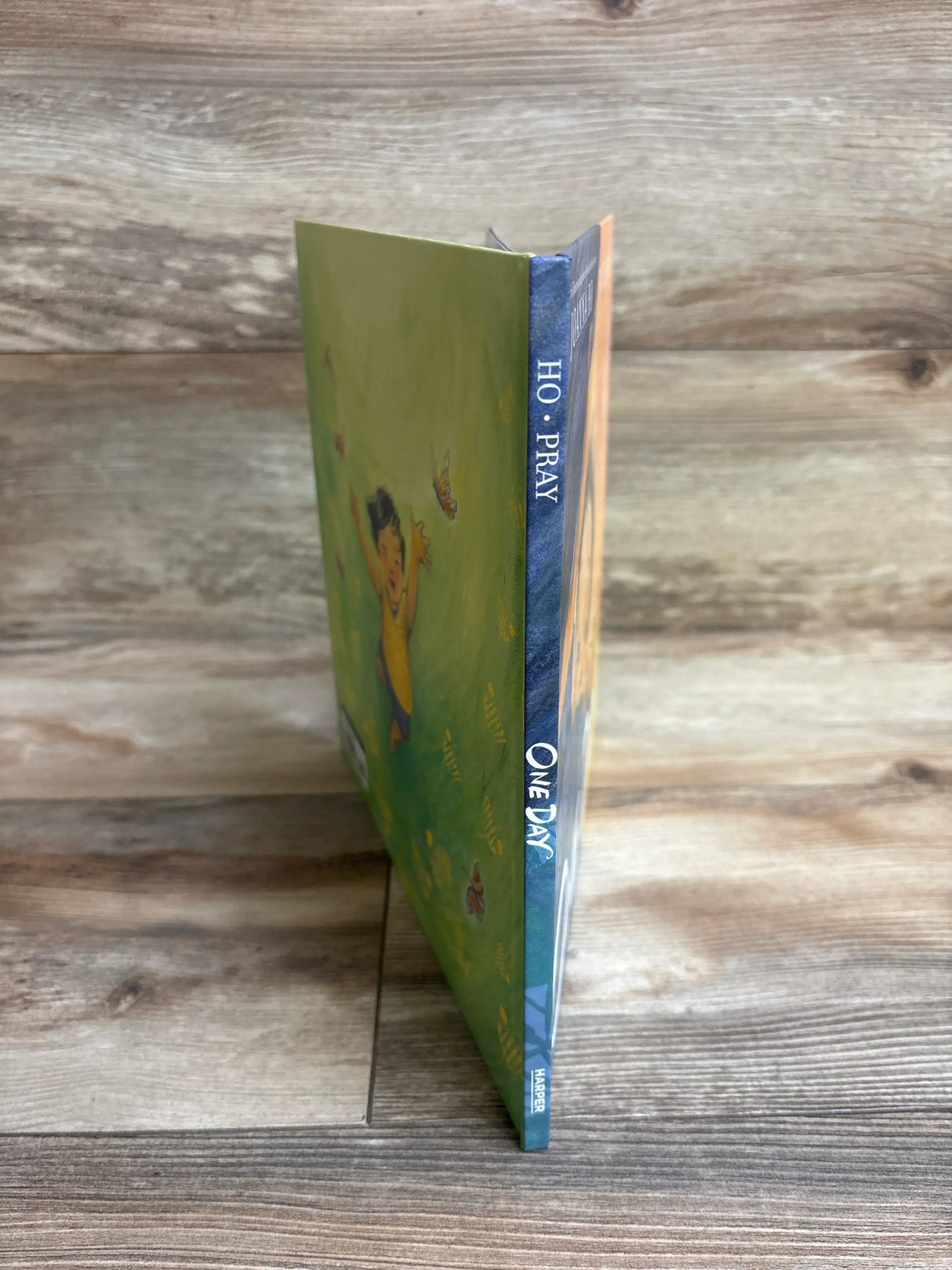 Children's picture book 'Pray One Day' on wood background, colorful illustrated cover.