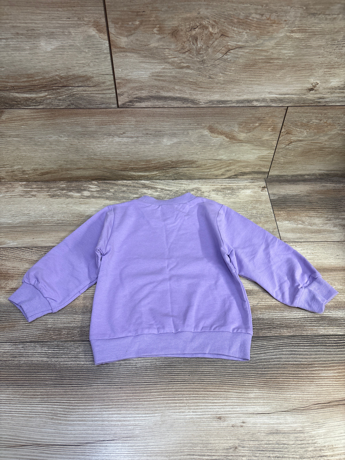 It's Just A Bunch Of Hocus Pocus Sweatshirt Puprle sz 12-18m