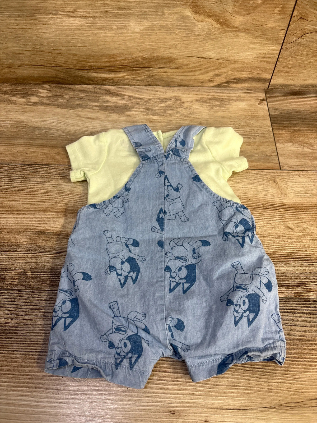 Front view of Bluey chambray overalls and lime short sleeve T-shirt set for newborns with character print on a wood background