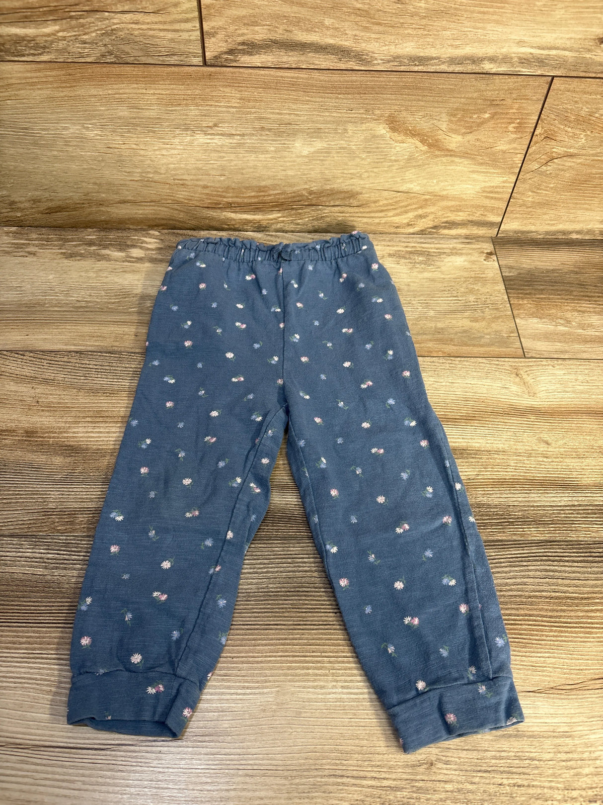 Baby Gap Drawstring Floral Joggers Blue sz 2T