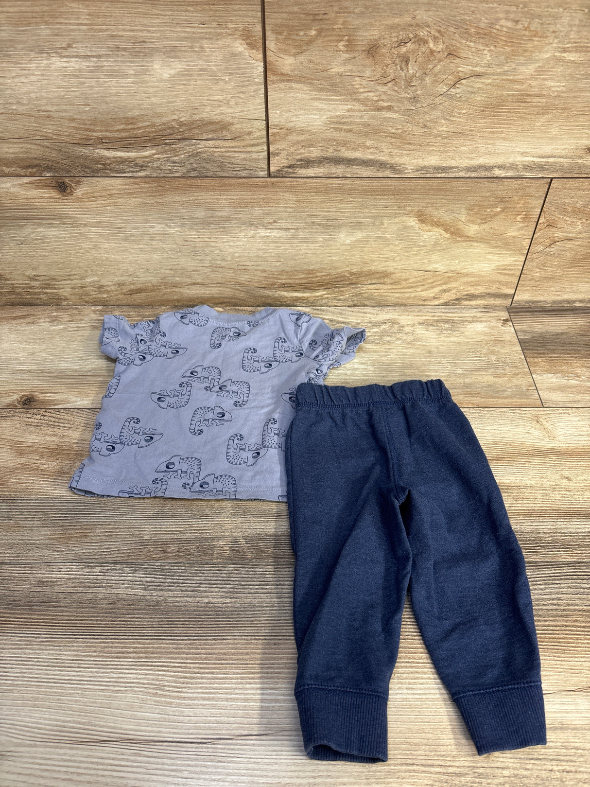 Carter's 2pc Chameleon Shirt & Pants Set Blue sz 9m