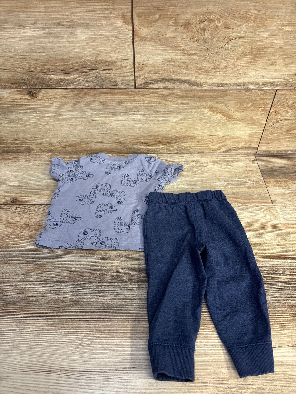 Carter's 2pc Chameleon Shirt & Pants Set Blue sz 9m