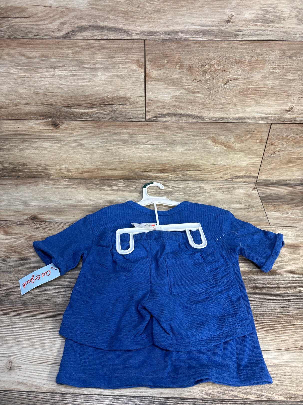 NEW Cat & Jack 2Pc French Terry Later Gator Shirt & Short Set Blue sz 4T