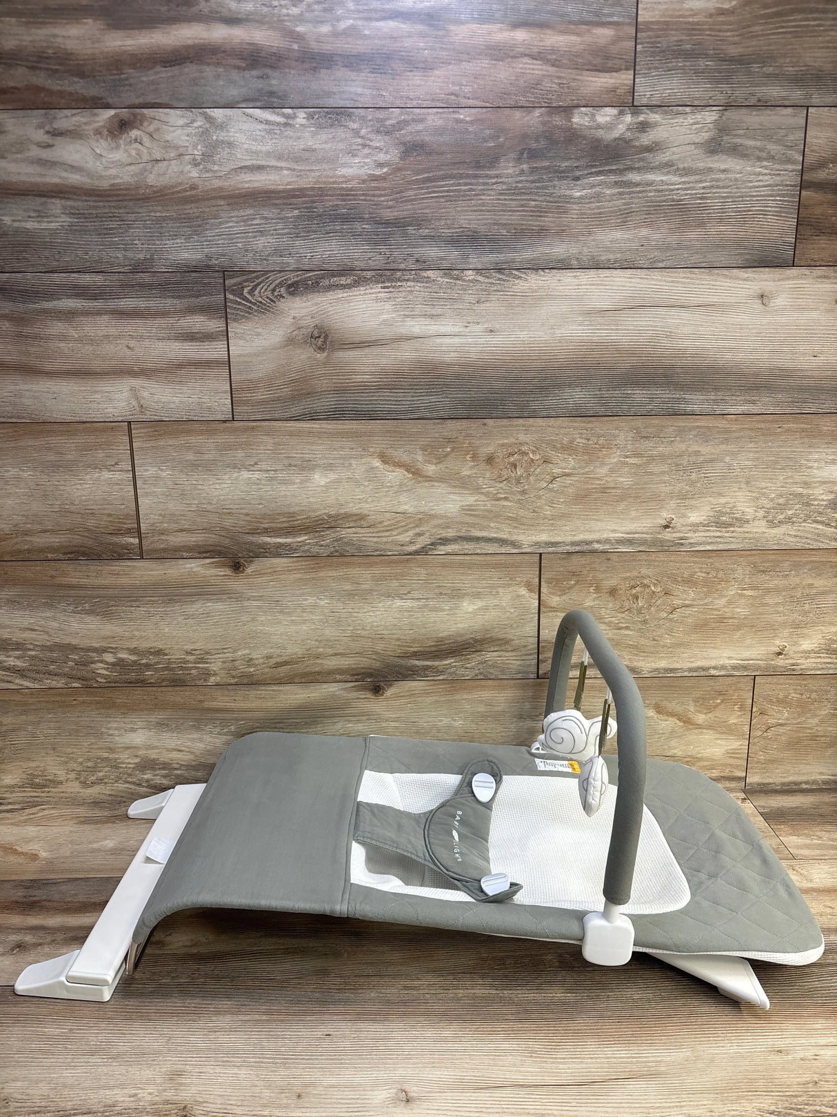 Baby Delight Alpine Deluxe Bouncer in Sage