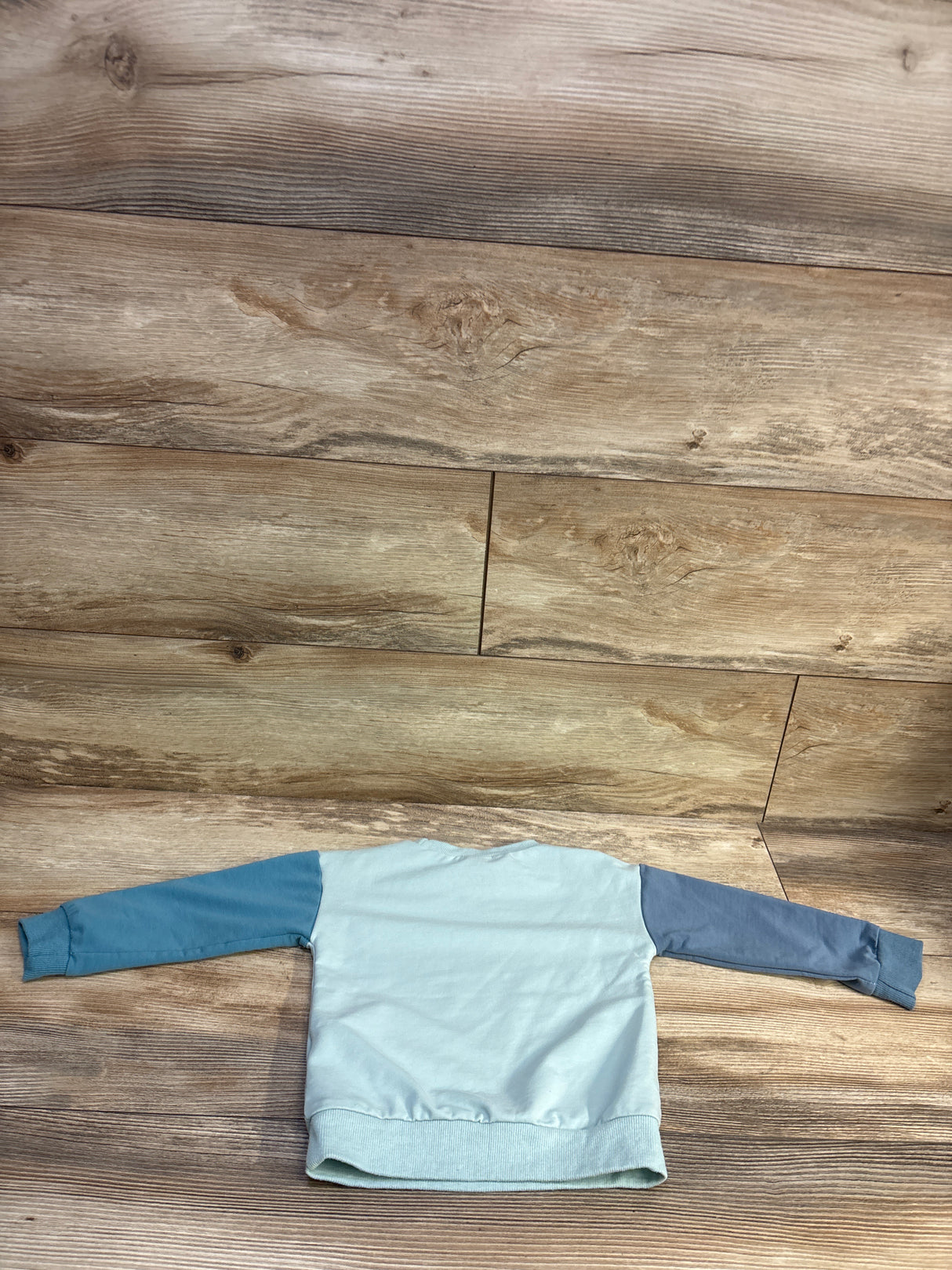 Shein Pullover Sweatshirt Blue sz 18-24m