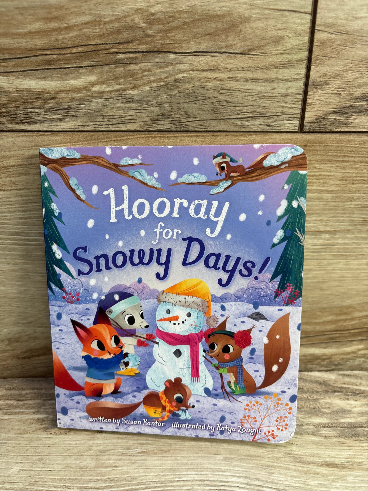 Hooray for Snowy Days! Board Book