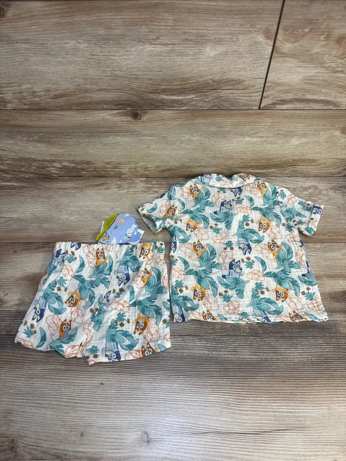 Baby boy's short sleeve shirt and shorts set with playful owl and leaf print on wood background
