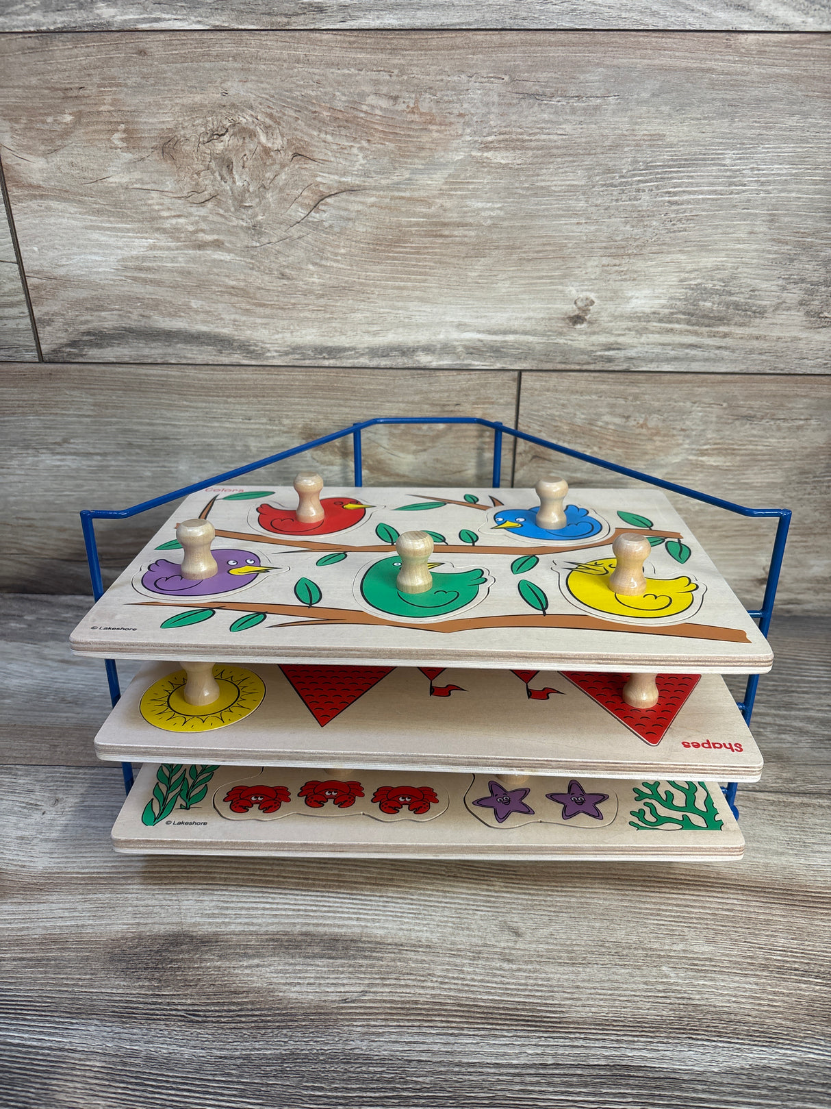 Lakeshore Big Knob Learning Puzzle Set
