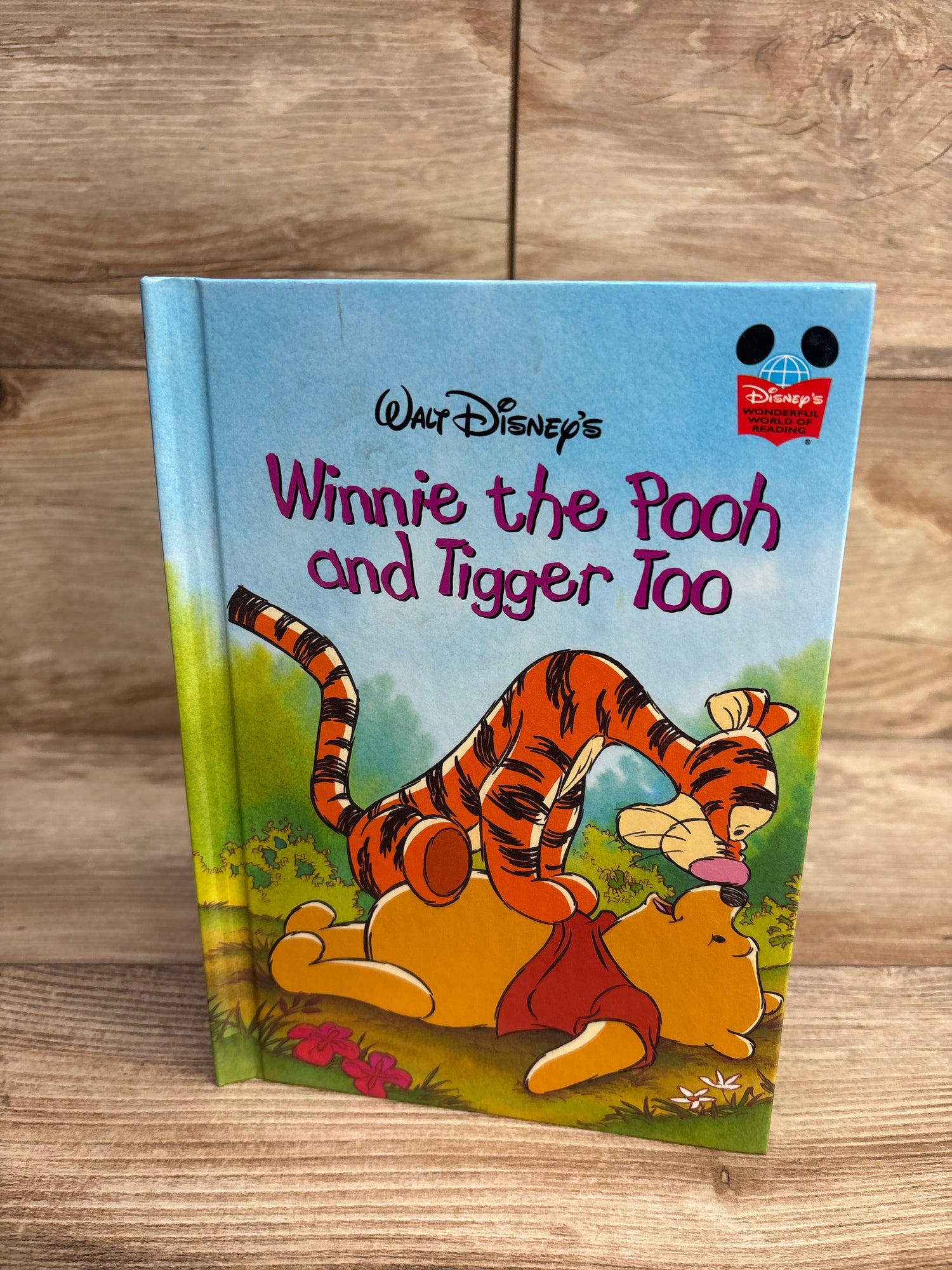 Winnie the Pooh and Tigger Too Hardcover Book