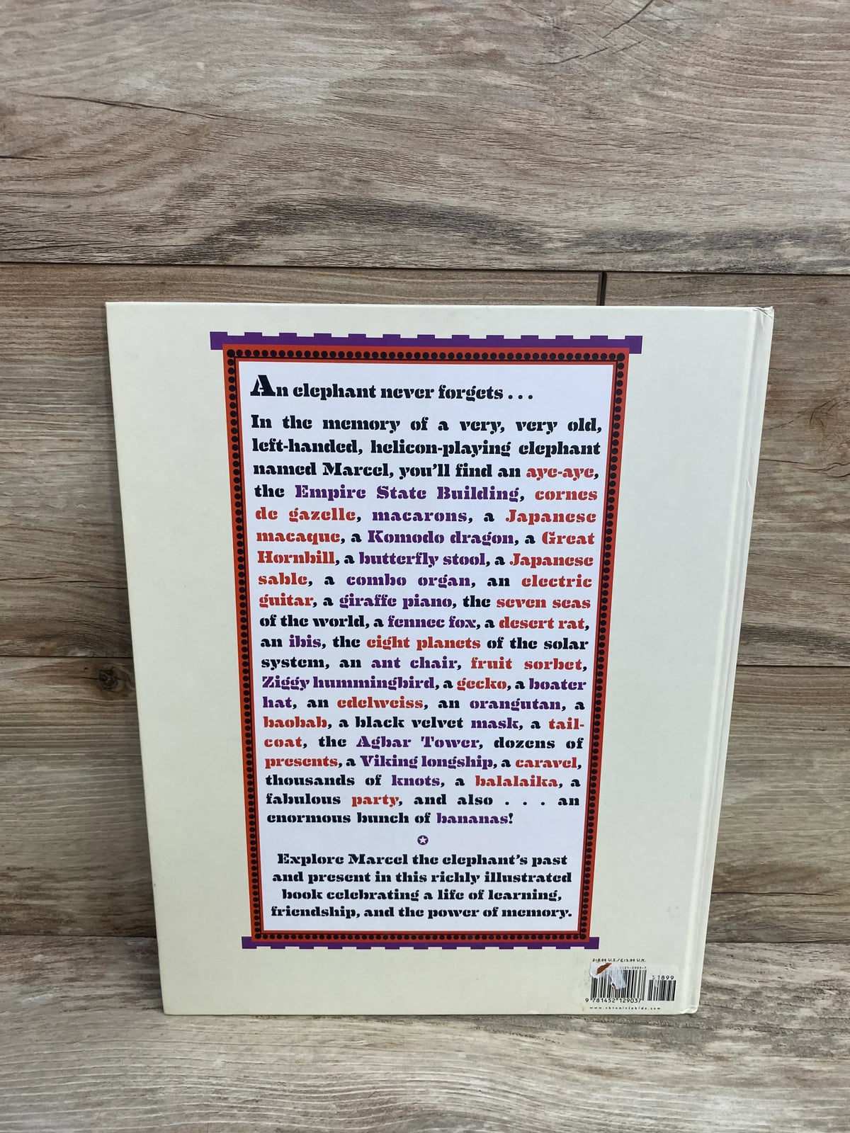 Back cover of The Memory of an Elephant hardcover book showing bordered synopsis headed ‘An elephant never forgets’ on a wooden surface