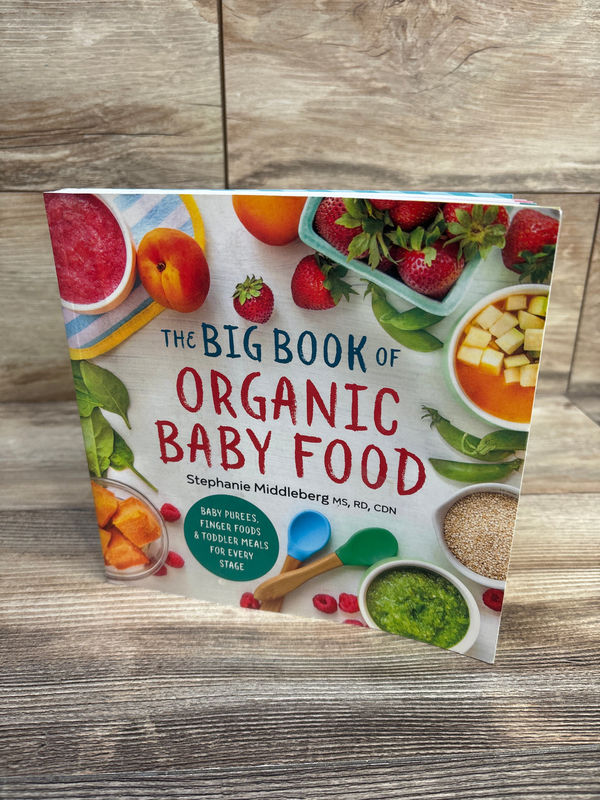 The Big Book of Organic Baby Food Paperback Book