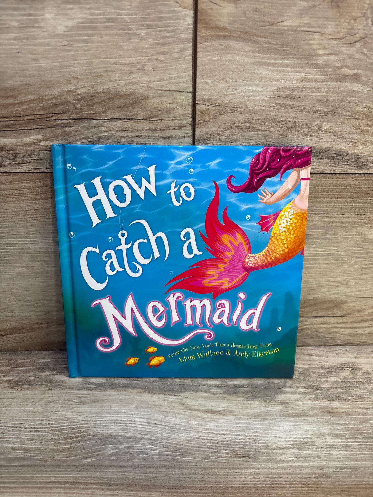How to Catch a Mermaid Hardcover Book