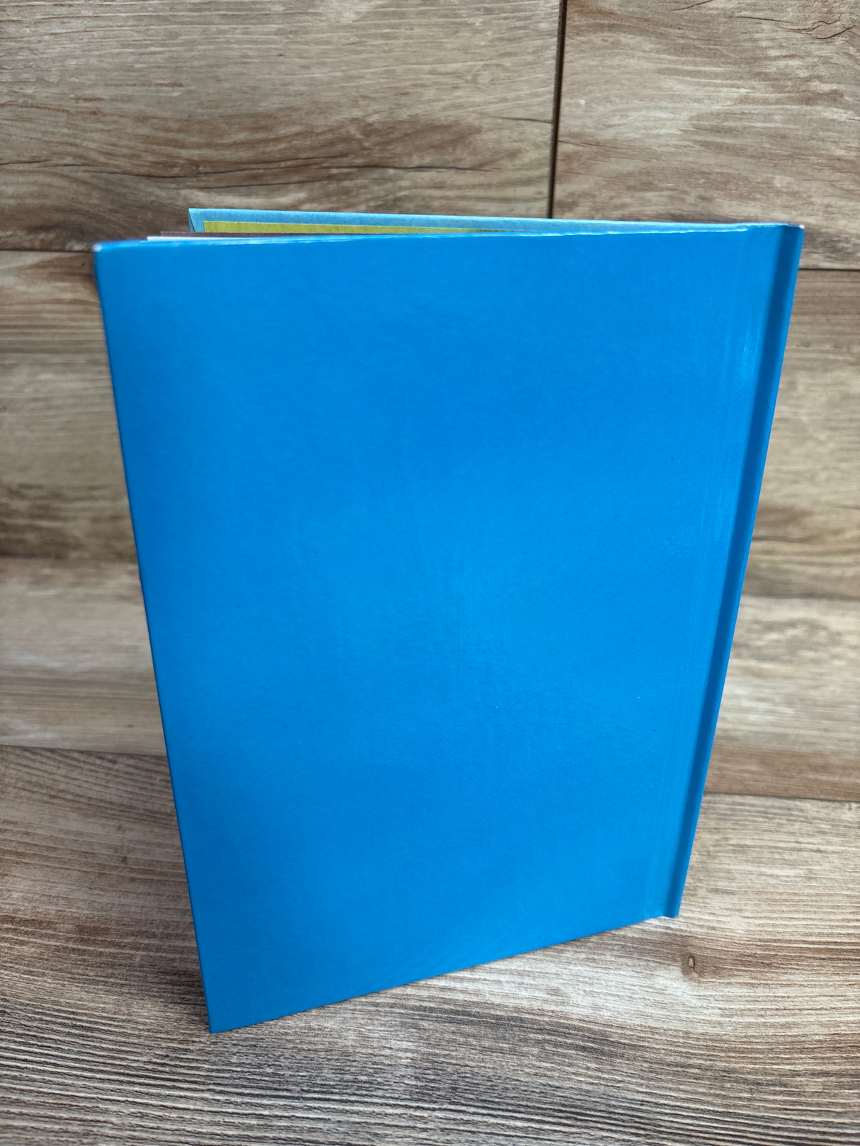 Winnie the Pooh and Tigger Too Hardcover Book