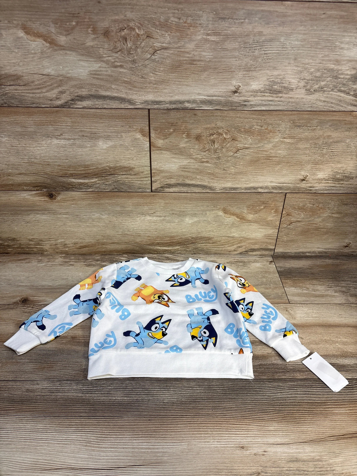 Bluey themed long sleeve toddler sweatshirt with cartoon print on wood background